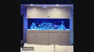 آکواریوم های آب شور دریایی