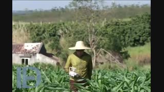 سمپاشی فوری | 09378505613