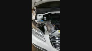 خرابی کاتالیزور لیفان x60 catalystone 09128385256