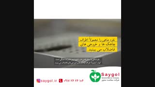 سمپاشی سوسک و ساس شیراز