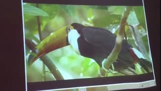 ویدئو پروژکتور استوک benq