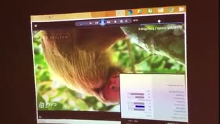 ویدیو پروژکتور استوک اینفوکوس