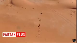 انداختن خرگوش‌ جلوی سگ‌های شکاری برای سرگرمی انسان‌ها