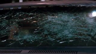 فیلم Ace Ventura 1994 با کیفیت بالا (Vivamovies) ویواموویز