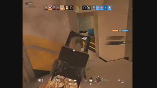 کشاورز خودش را میکشد یا نه؟