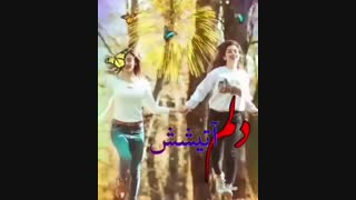 تولددددددددددددتتتتتتتتتت مباااررررررررررررررررررررررک نیکووووووووو جووونمممممممم+.+❤❤❤❤❤