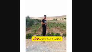 برترین فیلمنامه و رمان نویس معروف چهارمحال و بختیاری وایران