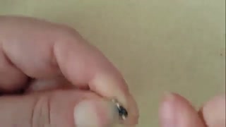 دستبند  felesh