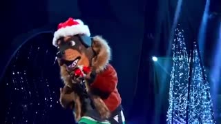 Rottweiler all performances