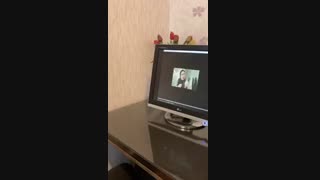 نوروفیدبک در کلینیک روانشناسی رویا