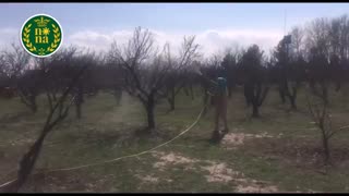 سمپاشی زمستانه باغات میوه