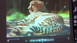 تست ویدئو پروژکتور استوک  Epson X20