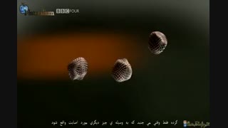 حرکت براونی و اثبات اتم