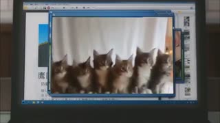 به امید دیدار