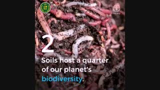 5 دلیل ارزشمندی زمین زیر پای ما