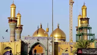 سفره موسی بن جعفر (ع)