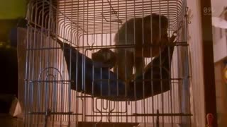 قسمت اول سریال ژاپنی برادران فضایی توکیو Tokyo Alien Bros 2018 با زیرنویس فارسی