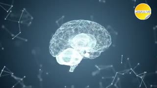 راه هایی  برای تقویت حافظه و مغز