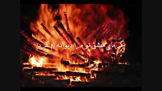 شوره زار دانیال منجزی