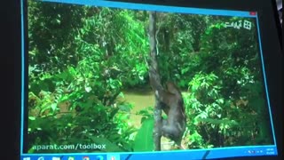 تست ویدئو پروژکتور استوک Hitachi 2011BN