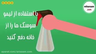 سوسک کش های طبیعی