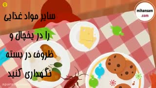 با آبلیمو ، سوسک و تخم سوسک را از بین ببرید