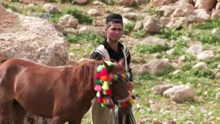 مستند آرنگ کوچ - درباره عشایر کشور