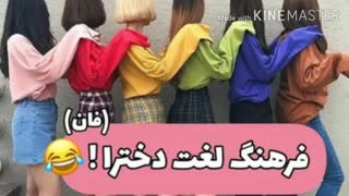 فرهنگ لغت به سبک دخترا ( فان)