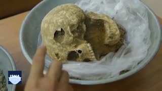 کشف بقایای انسانی و حیوانی در تخت جمشید