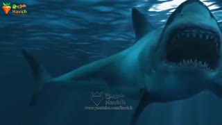 مگالادون کوسه ی مرموز، غول آسا، و مرگبار