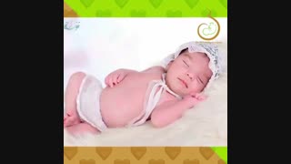 زیبایی آفرینش