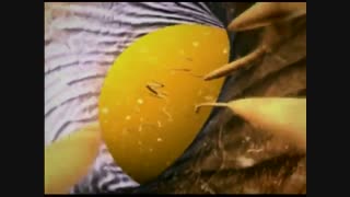 زندگی های جدید