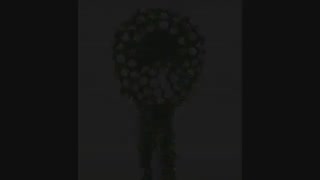 سفارش تاج گل در تبریز