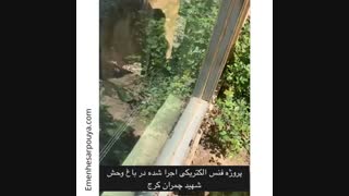 اولین فنس الکتریکی اجرا شده حیات وحش ایران توسط شرکت ایمن حصار پویا