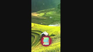 قصه شب دوجلدی (دوست جدید گلاب) قسمت 3