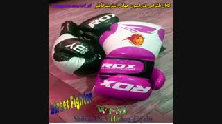 World Street Fighter Style WSFS