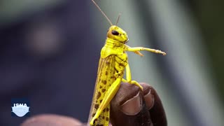 از زنده ماندن نوعی باکتری در فضا تا تمیز کردن هوا با نقاشی