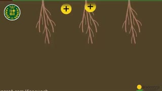 اهمیت عناصر ریزمغذی در تغذیه گیاهان