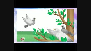 چرا خدا چنین کرد