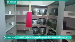 نحوه برداشت و سرمایه لازم برای تولید قارچ خوراکی