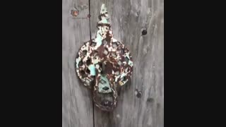 دکلمه بسیار زیبا خسرو شکیبایی