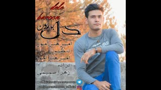 امیر هنرآموز دل بارون