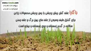 باکارا |Bacara | سم قوی برای انواع علف های هرز