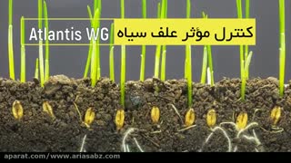 قوی ترین سم علف کش برای دفع انواع علف هرز | آتلانتیس دبلیوجی | Atlantis WG