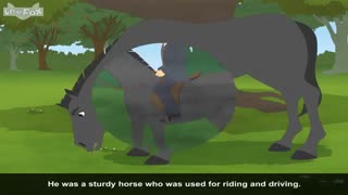 little fox_black beauty4