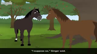 little fox_black beauty5