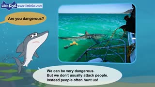 little fox_meet the animals1