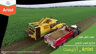علف  کش آرتیست | سم قوی برای ریشه کنی علف هرز مزارع سیب زمینی