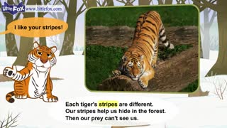 little fox_meet the animals13