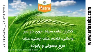 هاترا علف کش حرفه ای مزارع گندم | Hatra